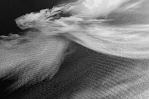Obraz podoba anděla v oblacích v černobílém provedení Varianta: 60x40