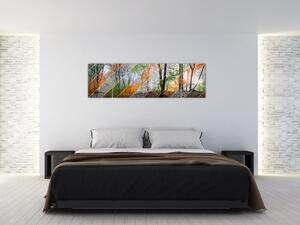 Obraz - Střídání ročních období (170x50 cm)
