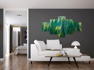 Obraz - Borovicový les (125x70 cm)