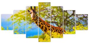 Obraz žirafy v Africe (210x100 cm)