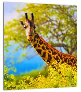 Obraz žirafy v Africe (30x30 cm)