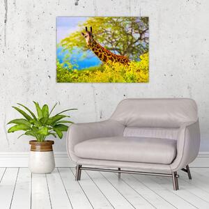 Obraz žirafy v Africe (70x50 cm)