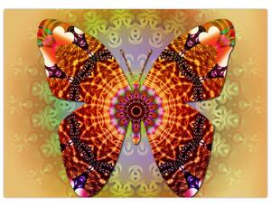 Obraz - Etno motýl (70x50 cm)