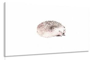 Obraz roztomilý ježek Varianta: 60x40