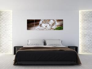 Obraz - Spící andílek (170x50 cm)