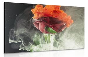 Obraz růže s abstraktními prvky Varianta: 60x40