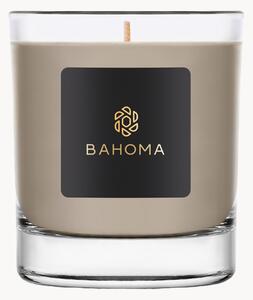 Handpoured Large Scented Candle Egyptian (kosatec, kokos)