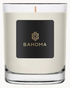 Ručně litá velká svíčka Alchemy (ambra, sauge)