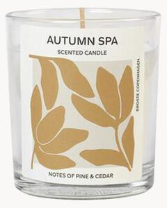 Vonná svíčka Autumn Spa (borovice a cedr)