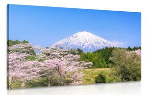 Obraz sopka Fuji Varianta: 60x40