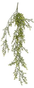 Umělá rostlina Eukalyptus dekorace Present Time (Barva-tmavě zelená)