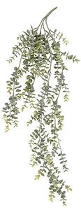 Umělá rostlina Eukalyptus Hang Vine Present Time (Barva- světle zelená)