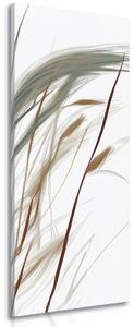 Obraz vlající stébla trávy Varianta: 50x150