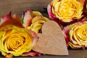 Obraz valentýnské žluté růže Varianta: 90x60