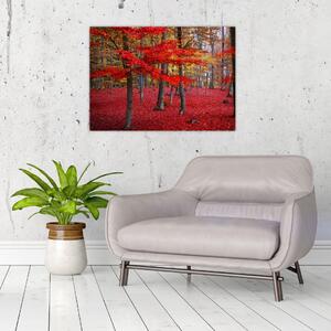 Obraz - Červený les (70x50 cm)