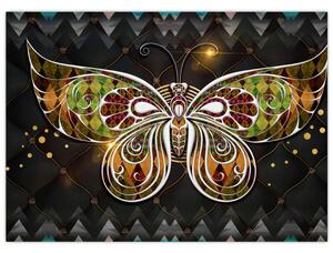 Obraz - Kouzelný motýl (70x50 cm)