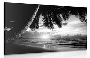 Obraz východ slunce na karibské pláži v černobílém provedení Varianta: 60x40