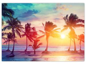 Obraz - Tropický západ slunce (70x50 cm)