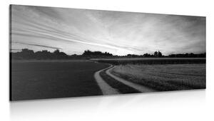 Obraz zapadající slunce nad krajinou v černobílém provedení Varianta: 100x50