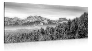 Obraz zamrzlé hory v černobílém provedení Varianta: 100x50