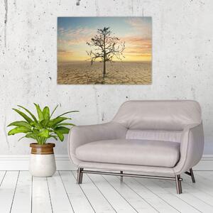 Obraz - Strom na poušti (70x50 cm)