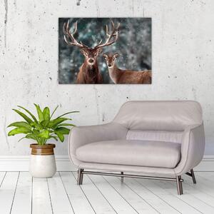 Obraz - Jelen a laň v zasněženém lese (70x50 cm)