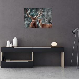 Obraz - Jelen a laň v zasněženém lese (70x50 cm)