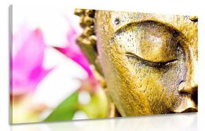 Obraz zlatá tvář Budhu Varianta: 120x80