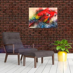 Obraz červených papoušků ara (70x50 cm)