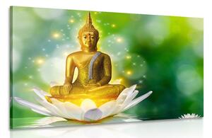 Obraz zlatý Budha na lotosovém květu Varianta: 120x80