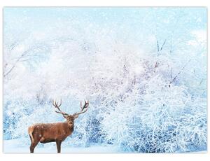 Obraz majestátního jelena (70x50 cm)