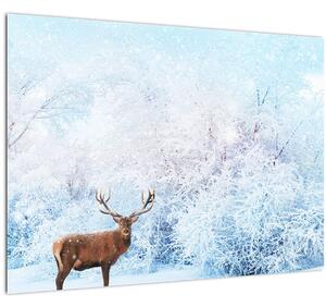 Skleněný obraz majestátního jelena (70x50 cm)