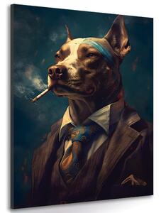 Obraz zvířecí gangster pes Varianta: 80x120