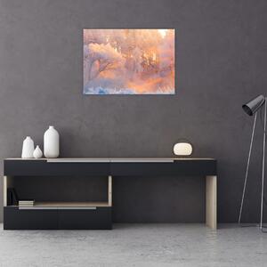 Obraz - Mrazivé svítání (70x50 cm)