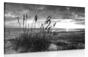 Obraz západ slunce na pláži v černobílém provedení Varianta: 90x60