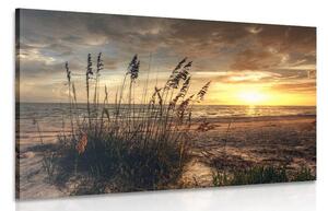 Obraz západ slunce na pláži Varianta: 60x40