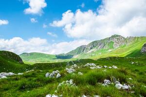 Obraz údolí v Černé Hoře Varianta: 60x40