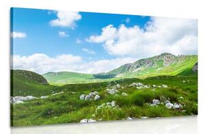 Obraz údolí v Černé Hoře Varianta: 60x40