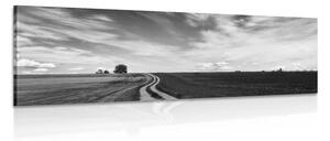 Obraz čarokrásná krajina v černobílém provedení Varianta: 150x50