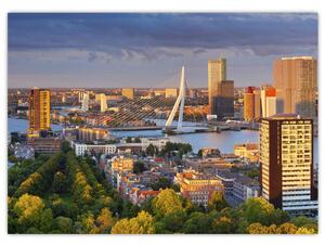 Obraz - Panorama Rotterdamu, Nizozemsko (70x50 cm)