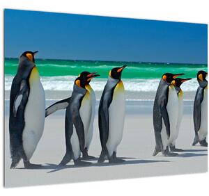 Obraz - Skupina královských Tučňáků (70x50 cm)