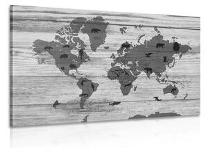 Obraz černobílá mapa na dřevěném podkladu Varianta: 120x80