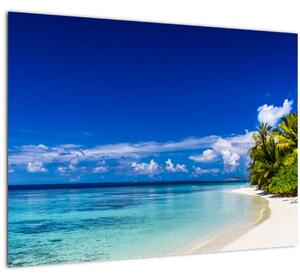 Skleněný obraz tropické pláže (70x50 cm)