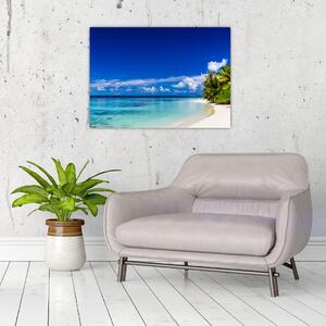 Obraz tropické pláže (70x50 cm)