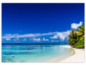 Skleněný obraz tropické pláže (70x50 cm)