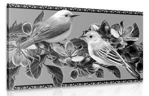 Obraz černobílé ptáčky a květiny ve vintage provedení Varianta: 120x80