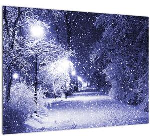 Obraz - Kouzelná zimní noc (70x50 cm)