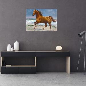 Obraz koně na pláži (70x50 cm)