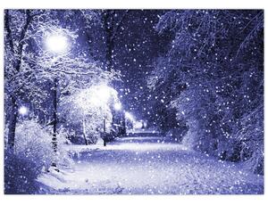 Obraz - Kouzelná zimní noc (70x50 cm)