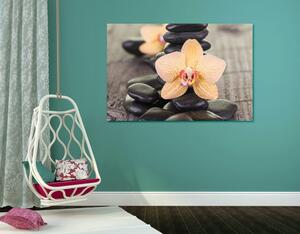 Obraz žlutá orchidej a Zen kameny Varianta: 90x60